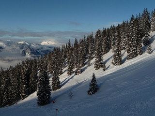 Fototapeta na wymiar Alpen, Alpbachtal, Tirol, Ski, Winter, Wald, Bäume, Piste