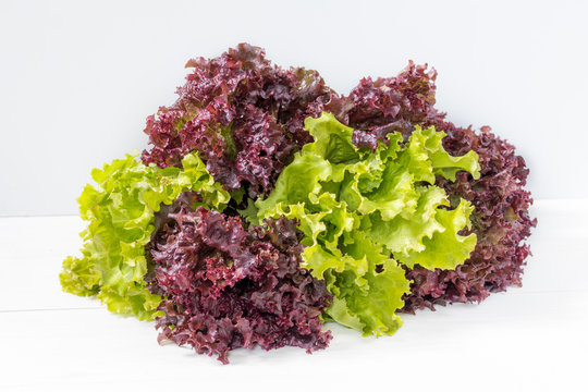 Fresh leaves of Lollo Rosso and Green lettuce