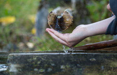 In the forest the source of water, cold spring water, from the depths of the earth, flows down a wooden drain, the woman's hand underneath, wants to drink water