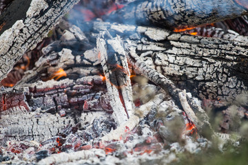 Large fire, from a lot of cut and scrapped wood, strong flame and high temperature, nature