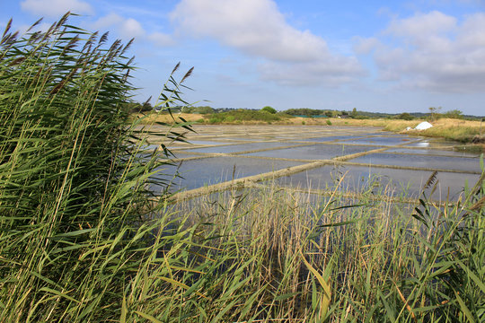 Gu&eacute;rande - Les Marais Salants 