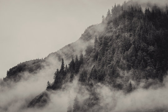 smoky moumtain with smoke, fog and haze on top of the mountain with pine tree