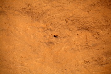 Fototapeta premium Brown clay mortar on a wall