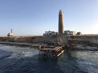 Big Brother Island © adam