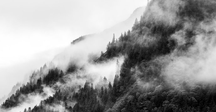Fototapeta Mountain fogs