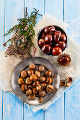 Hazelnuts and chestnuts 