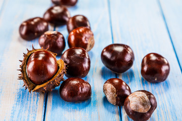 Chestnuts © Jacek Chabraszewski