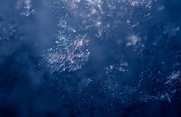 Obraz na płótnie Canvas Snow Flake Close Up 2