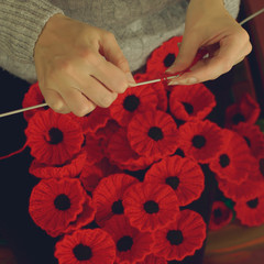 Woman's Hands Knitting Poppies F for Charity, Knitting to Support Remembrance Sunday - Armistice Day (11 November), Shallow Depth of Field Split Toning Haze Photography - 175256651