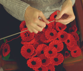 Obraz na płótnie Canvas Woman's Hands Knitting Poppies G for Charity, Knitting to Support Remembrance Sunday - Armistice Day (11 November), Shallow Depth of Field Split Toning Haze Photography