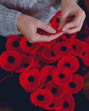 Woman's Hands Knitting Poppies A for Charity, Knitting to Support Remembrance Sunday - Armistice Day (11 November), Shallow Depth of Field Split Toning Haze Photography