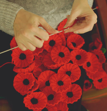 Woman's Hands Knitting Poppies E for Charity, Knitting to Support Remembrance Sunday - Armistice Day (11 November), Shallow Depth of Field Split Toning Haze Photography