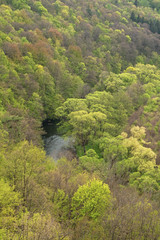 National park Podyji, Czech Republic