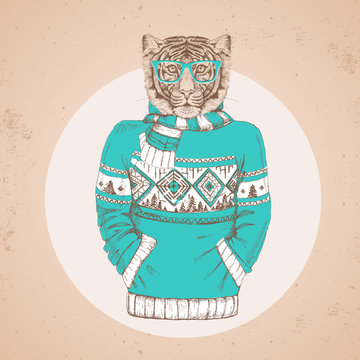 Retro Hipster fashion animal tiger dressed up in pullover. Hipster animals