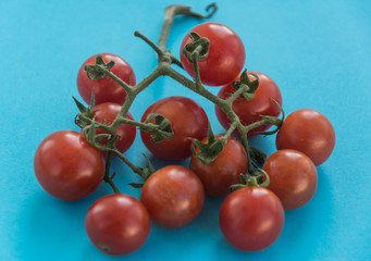 Tomatoes on blue background