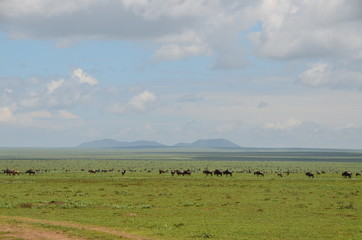 The African landscape. Ngorongoro, Tanzania