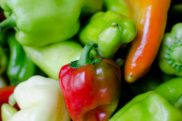 pile of red and green peppers 