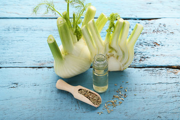 Ripe fennel bulbs with dry seeds in scoop and bottle of oil on blue wooden table