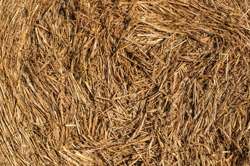 Straw texture in the role