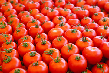 tomatoes on the market. close-up, top viewpoint