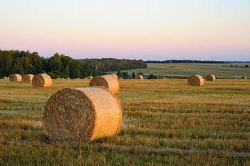 rolls of golden straw on the background of the iridescent sunset sky