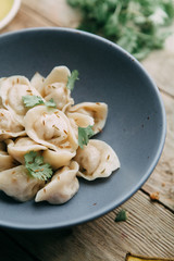 dumplings with potatoes, cheese, berries, compositions for the menu of the restaurant, decorated with greens and sauce