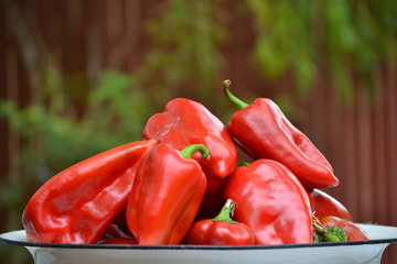 Fresh red kapia sweet peppers with isolated background