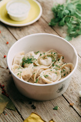 dumplings with potatoes, cheese, berries, compositions for the menu of the restaurant, decorated with greens and sauce