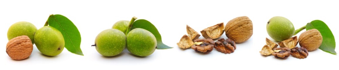 Walnut isolated on a white background