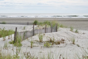 Beach and the fence