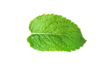 Obraz premium Fresh mint leaf on white background