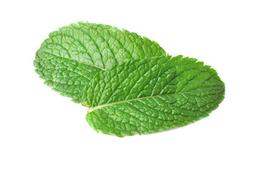 Fresh mint leaves on white background