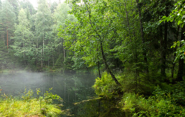 Obraz premium Kultalähde, a sacred well in Finland.
