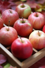 Red apples in a wooden box with cells