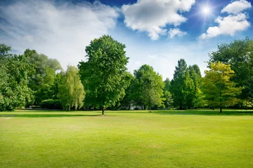 Rolgordijnen Bright summer sunny day in park with green fresh grass and trees. © Serghei V