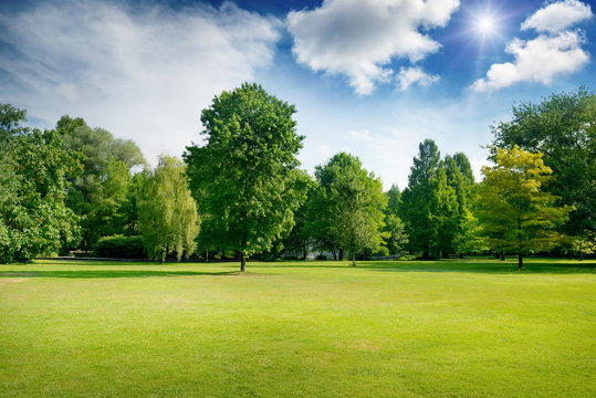 Park Background Images – Browse 7,009,814 Stock Photos, Vectors, and Video  | Adobe Stock