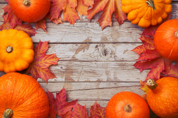 Colorful pumpkin collection frame. Seasonal autumn decorative background with squashes, pumpkins, corns and carrots. Harvest time concept. Top view