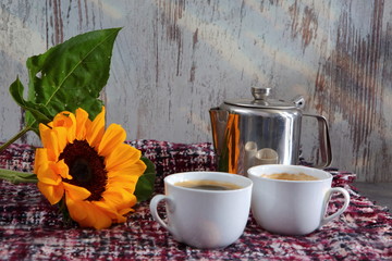 Aromatic coffee always attracts amateurs to enjoy the taste.