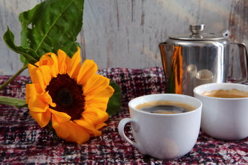 Aromatic coffee always attracts amateurs to enjoy the taste.