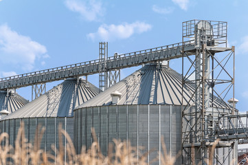 Agricultural storage silos. Rural scene.