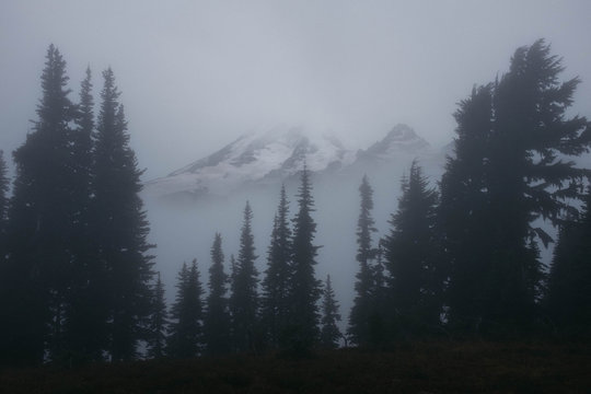 mountain top emerging from fog in northwest mountain landscape