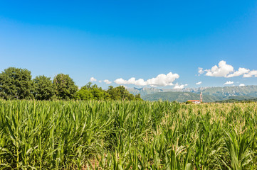 Countryside landscape in summer day.