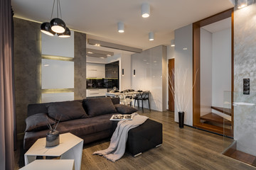 Obraz premium Living room with dark sofa