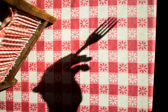 Shadow of a Hand and Fork in Harsh Light with Napkin Holder on a Picnic Table