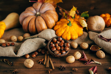 Autumn harvest. Nuts, pumpkins, squash, spices.