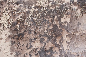Wall structure after fire