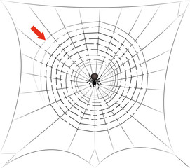 Spider web maze - find the way trough the cobweb labyrinth to the center where the spider is waiting for you - halloween fun game. Isolated vector comic illustration on white background.