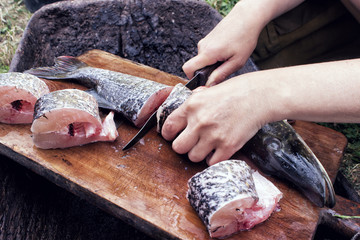 Closeup of human Hands cut with a knife into pieces (portions) fresh fish pike on wooden kitchen Board. Outdoors