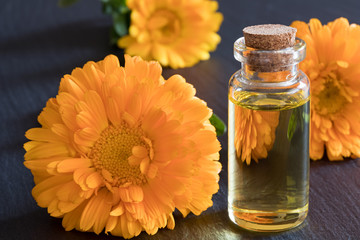 A bottle of calendula essential oil on a dark background