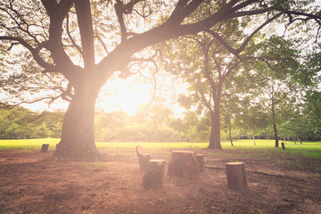 The perfect nature and sunset in park